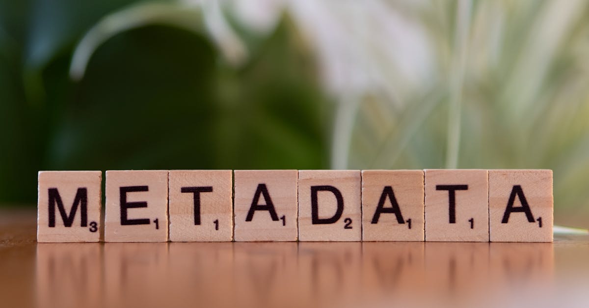 découvrez les meilleures pratiques et stratégies pour la gestion des bases de données. optimisez la performance, la sécurité et l'intégrité de vos données grâce à une gestion efficace et adaptée à vos besoins.