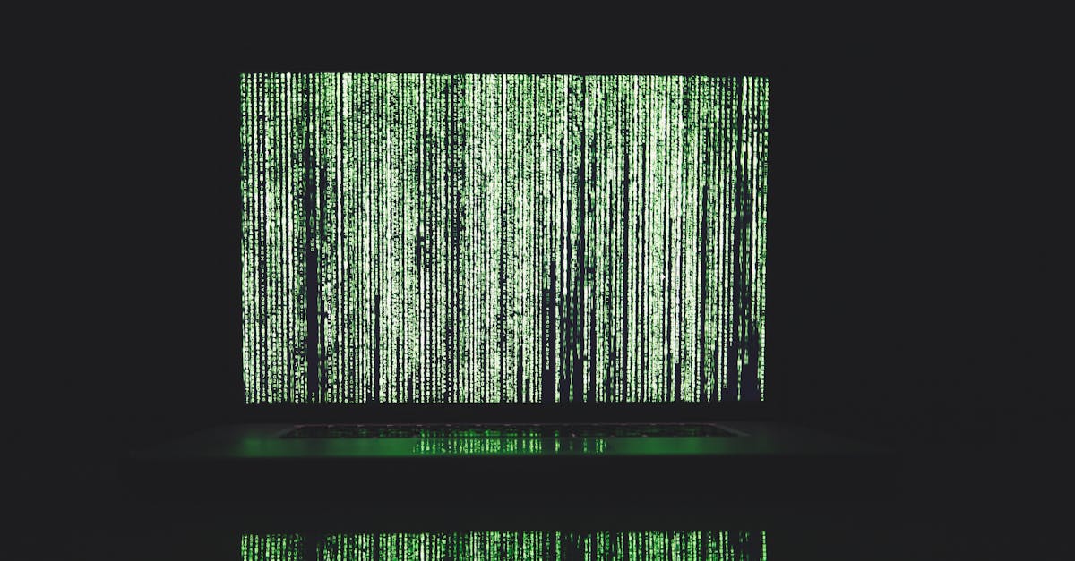 découvrez les principes essentiels de la cybersécurité, les menaces actuelles et les meilleures pratiques pour protéger vos données et assurer la sécurité de votre organisation sur internet.