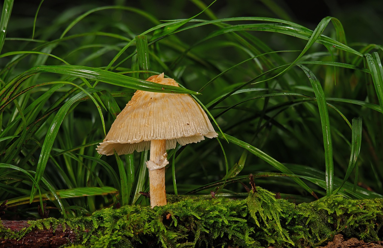 explorez les bases essentielles de la science fondamentale, couvrant les principes clés qui expliquent les phénomènes naturels et les lois universelles.