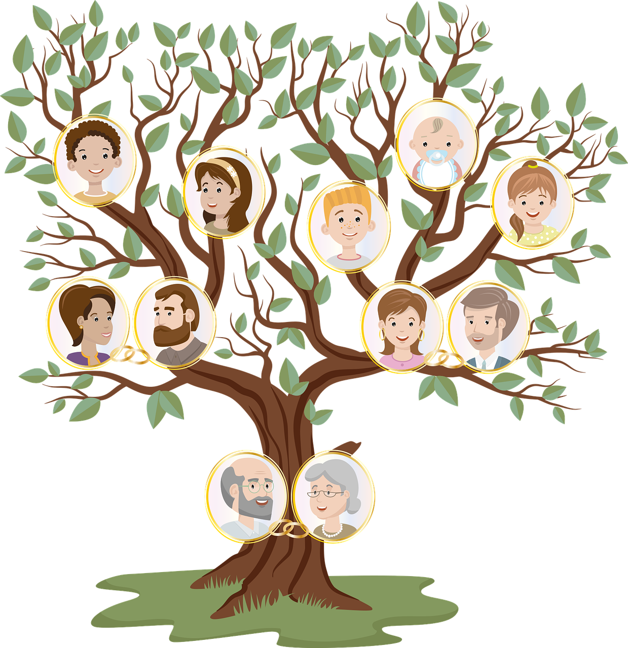 explorez vos racines avec notre guide complet sur la généalogie. découvrez des astuces pour tracer votre arbre généalogique, accéder aux archives, et comprendre l'histoire de votre famille.