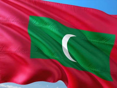 Inde : les entreprises locales étendent leurs horizons avec des projets internationaux audacieux