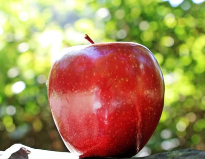 Apple à 50 ans : huit jalons majeurs qui ont révolutionné notre quotidien