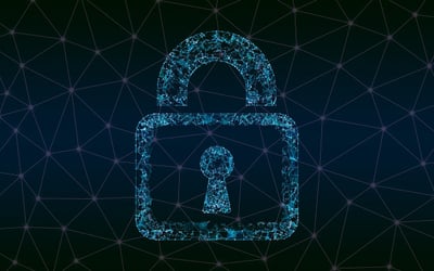Tarn-et-Garonne : Des informaticiens unissent leurs forces pour créer une entreprise dédiée à la protection des biens